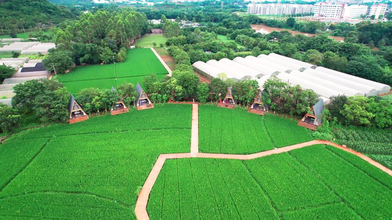 农业产业园可行性研究报告编写步骤详解
