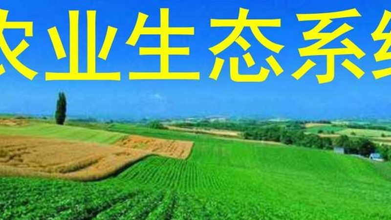 四川种植技术推广站：如何精准定位与高效利用**