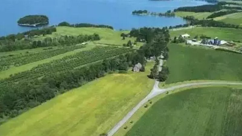 露天种植苹果防病流程解析