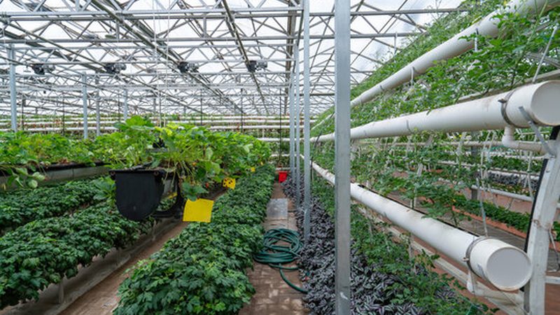 农民专业合作社运营模式规范解析