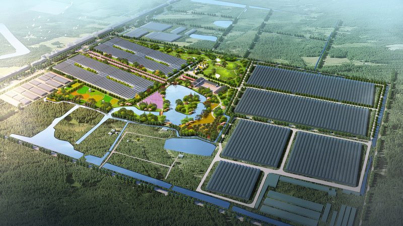 休闲农业与乡村旅游：案例差异解析
