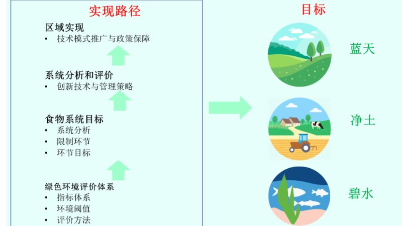 玻璃温室大棚：农业产业园的绿色“温室