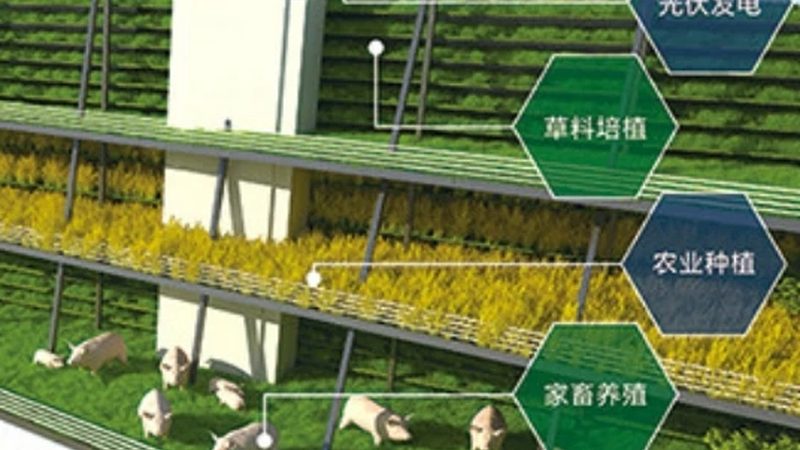 四川温室大棚：优缺点对比解析