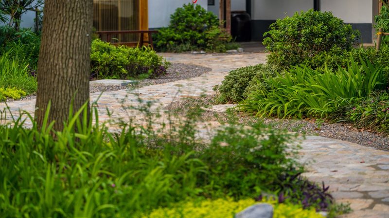 农业项目招标文件模板：构建规范招标的基石**