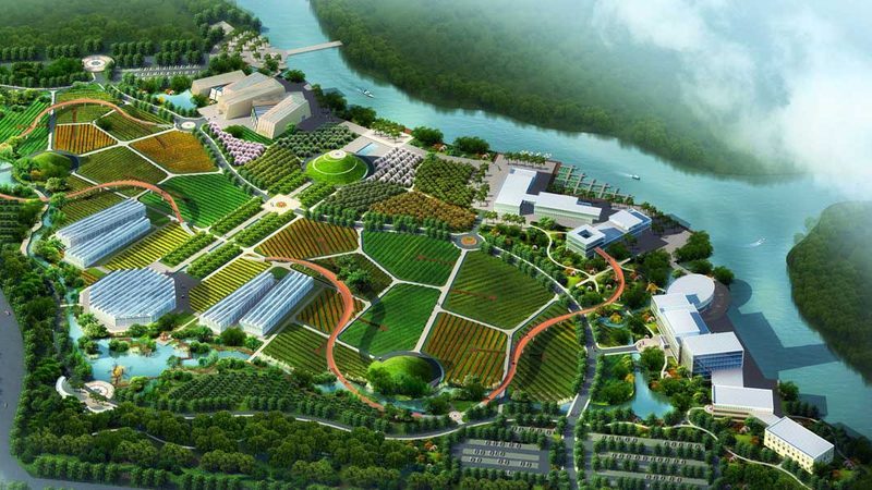 山东农业合作社崛起：探寻实力强的关键因素**