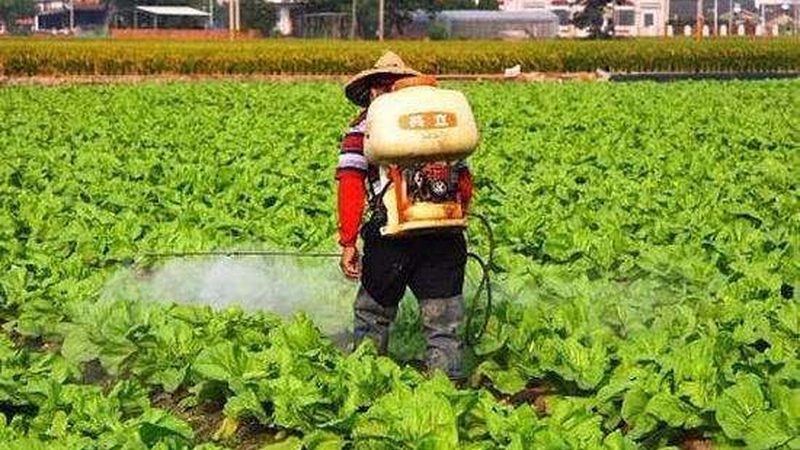无人机植保，飞手培训的关键在哪里？**